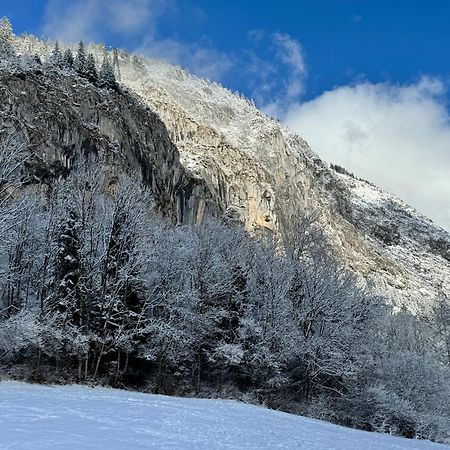 Appartement Cosy Proche Chatel Portes Du Soleil - Linge Inclus Абонданс Экстерьер фото